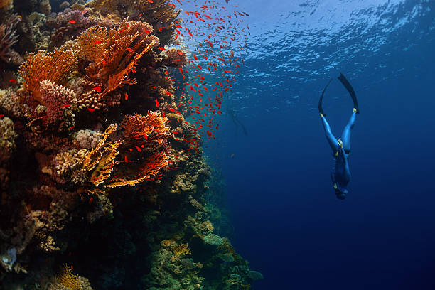 deep dive dubai depth