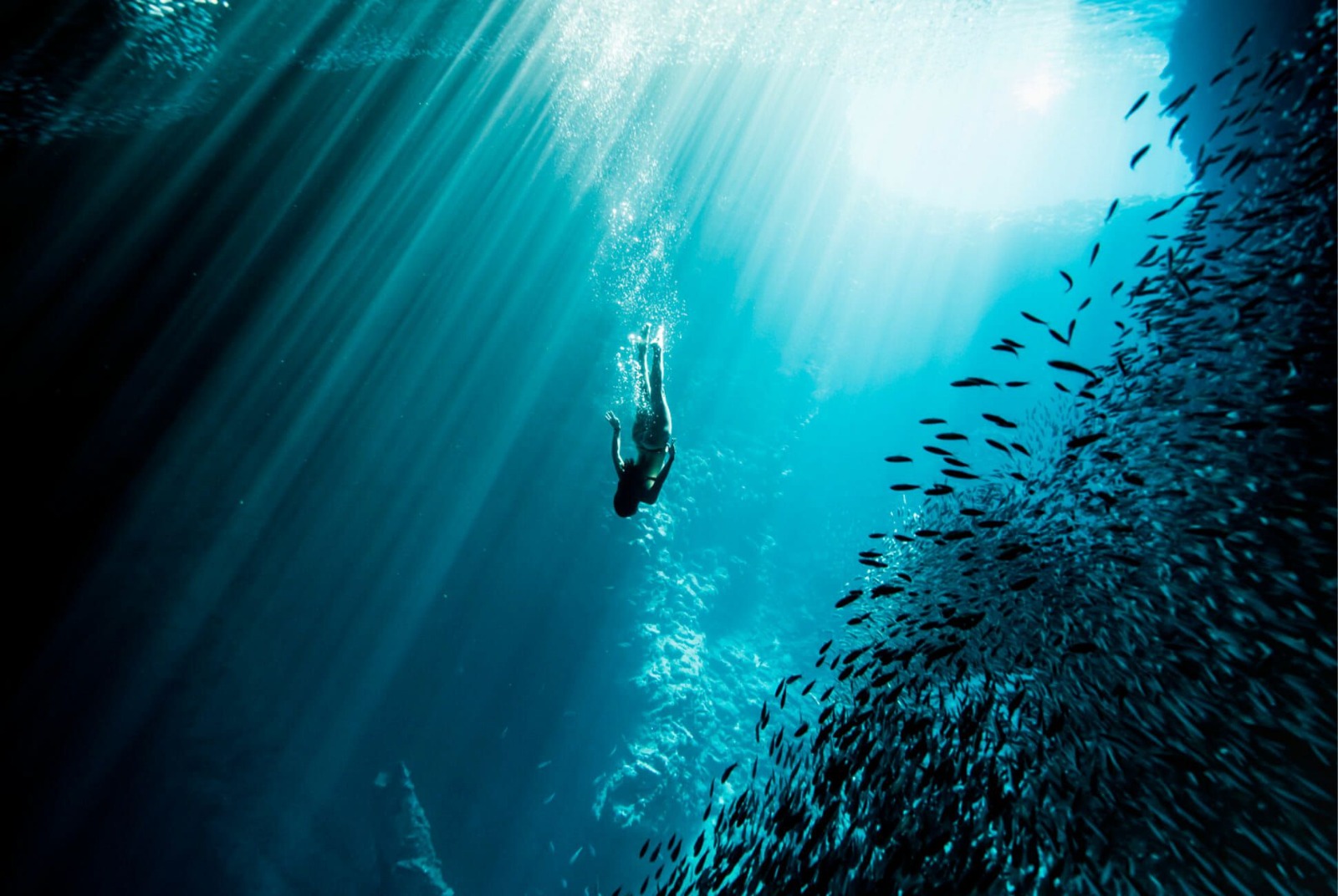 deep dive dubai ticket price (2)