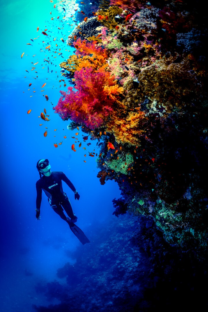 deep dive dubai