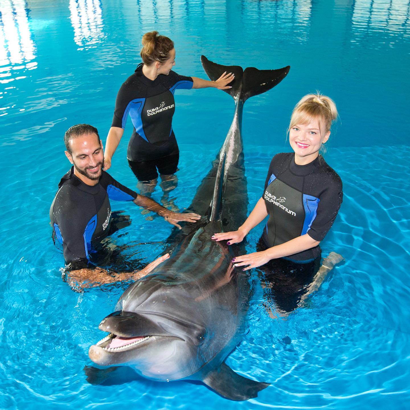 dubai dolphinarium timings